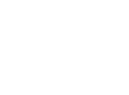 CMMI Level 3